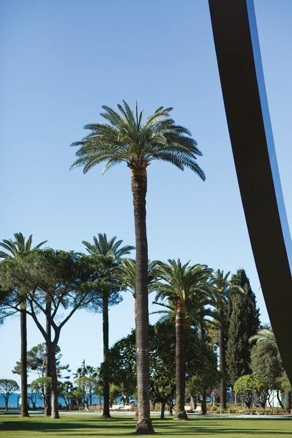 Centrale 2 - F4 Spacieux Et Confortable Au Centre Du Vieux-Nice Apartman Kültér fotó